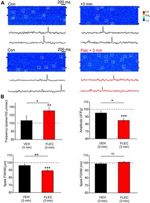 Flecainide induces a sustained countercurrent dependent effect on RyR2 in permeabilized WT ventricular myocytes but not in <mark class="highlighted">intact cells</mark>